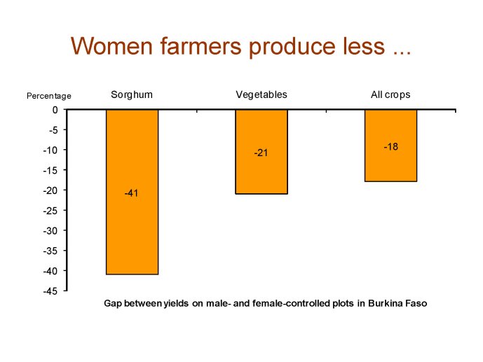 Toulouse 2012 Genre et Agriculture_Page_17.jpg