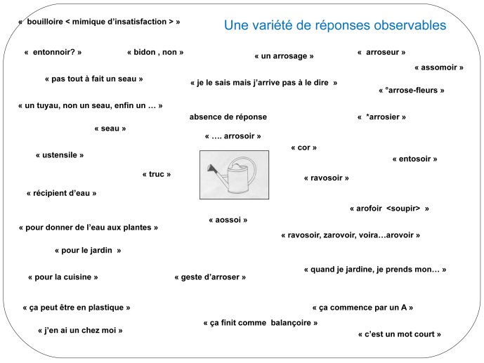 TmTran-Aphasia2012-05.jpg