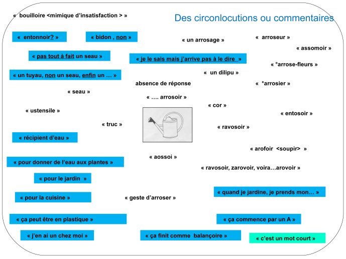 TmTran-Aphasia2012-09.jpg