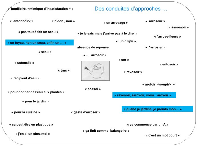 TmTran-Aphasia2012-13.jpg