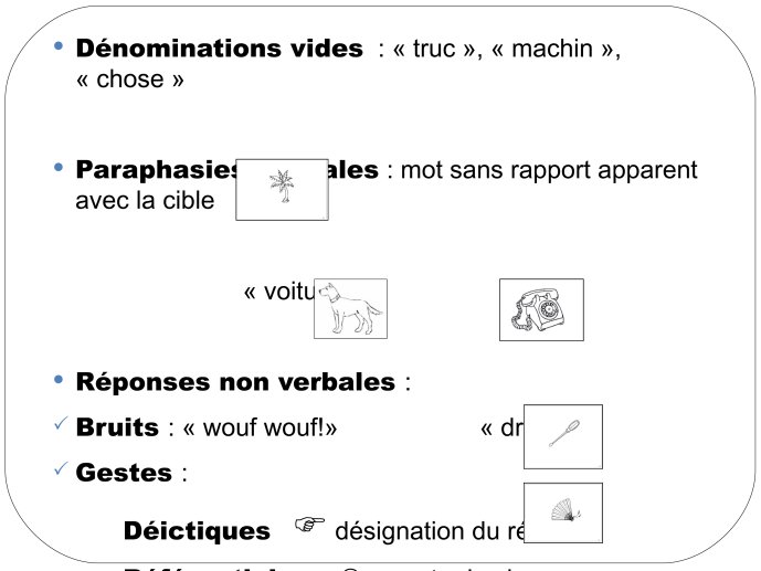 TmTran-Aphasia2012-16.jpg