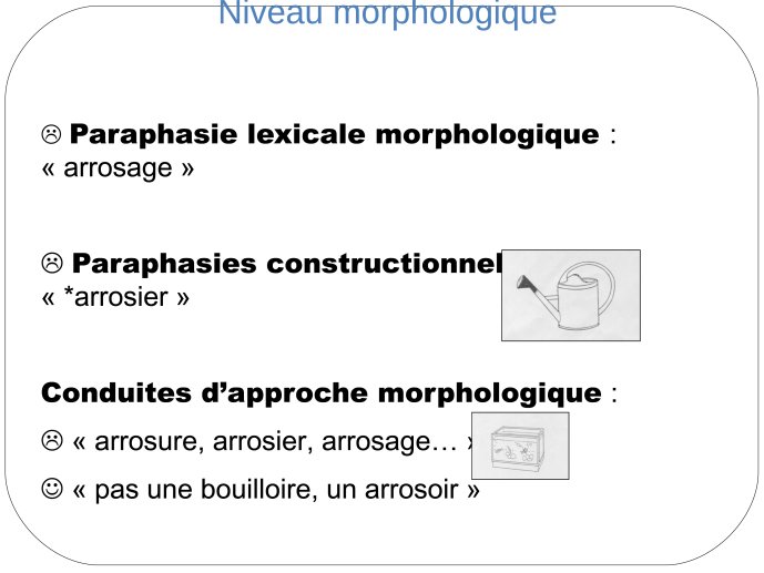 TmTran-Aphasia2012-19.jpg