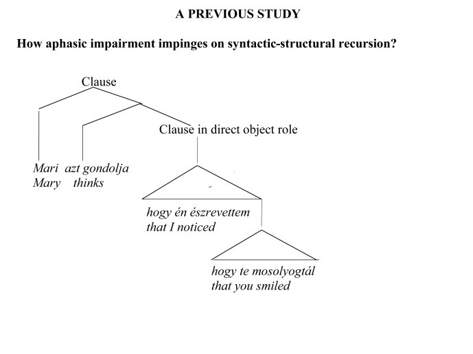 Banreti-Aphasia2012-02.jpg