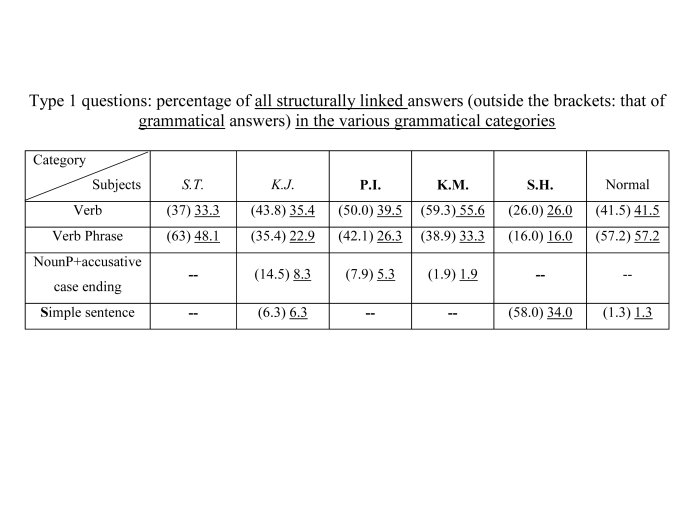 Banreti-Aphasia2012-34.jpg