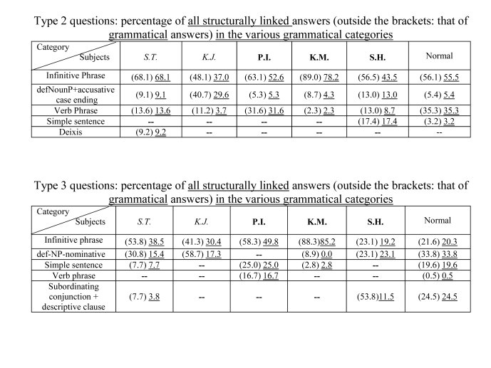 Banreti-Aphasia2012-35.jpg