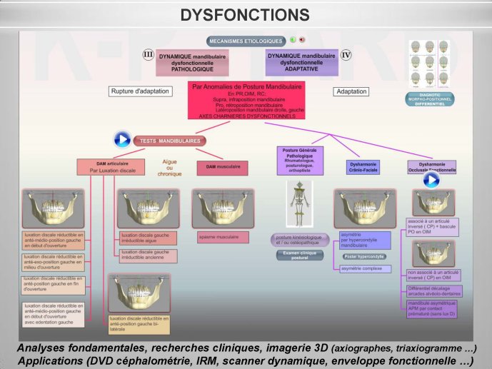 diapositive7.jpg