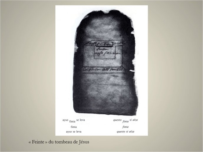 Henrard-Sponsus-32.JPG