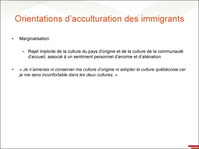 Immigrant et marginalisation