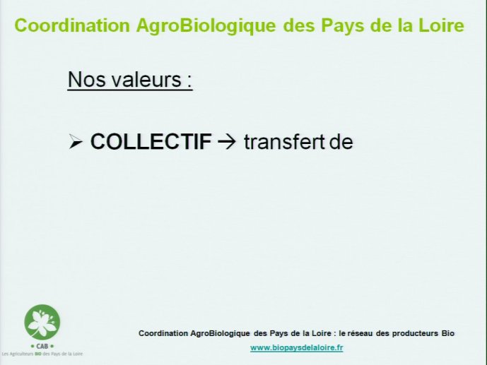 slide_0011_full.jpg