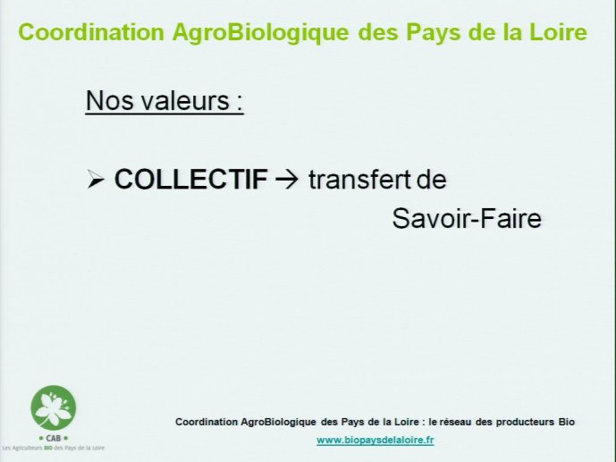 slide_0012_full.jpg