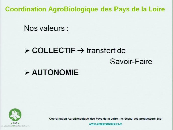 slide_0013_full.jpg
