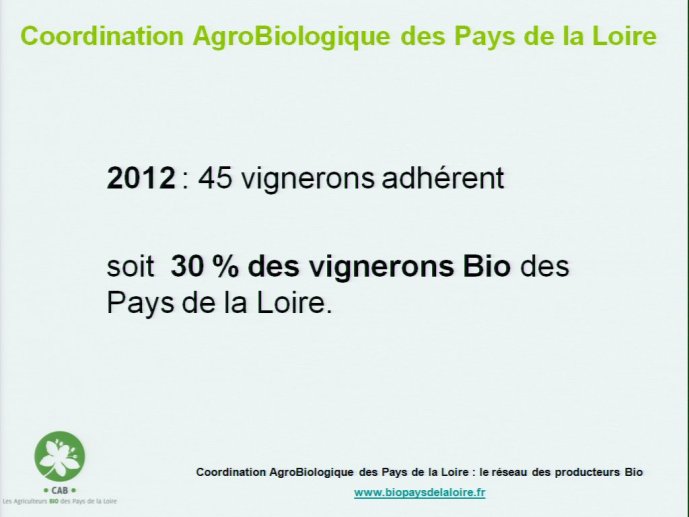 slide_0017_full.jpg
