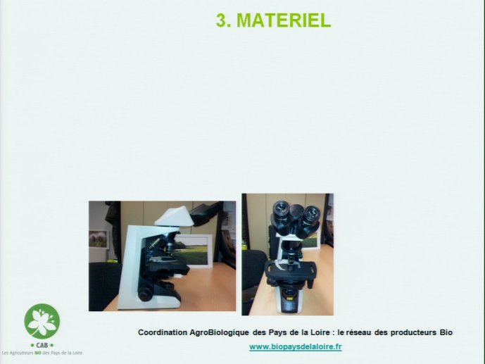 slide_0053_full.jpg
