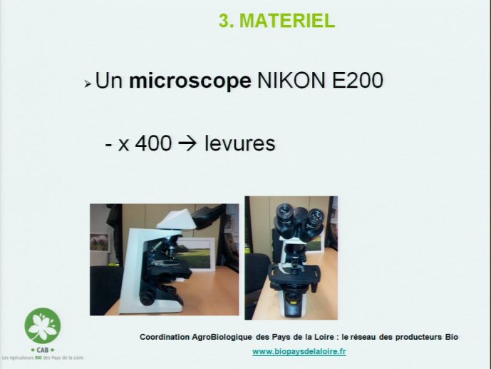 slide_0055_full.jpg