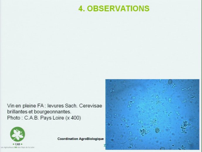 slide_0069_full.jpg
