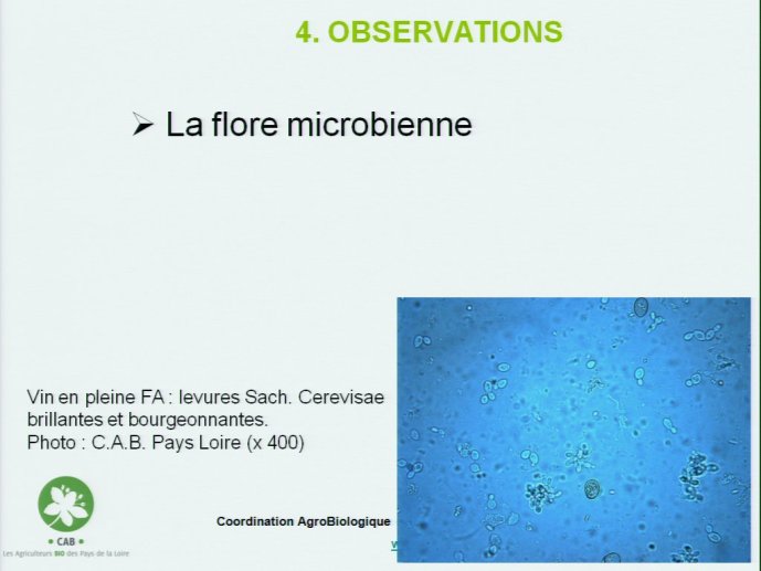 slide_0070_full.jpg