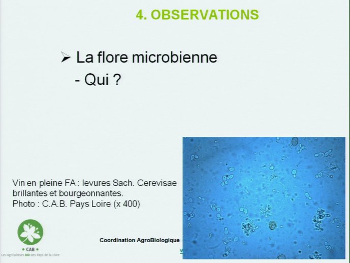 slide_0071_full.jpg