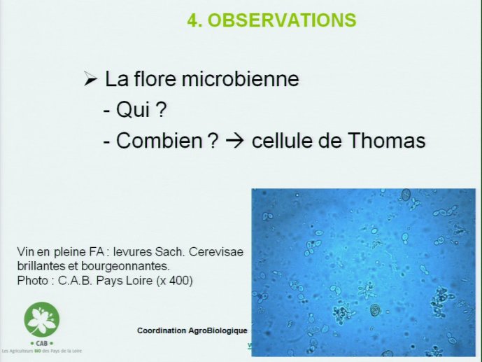 slide_0072_full.jpg