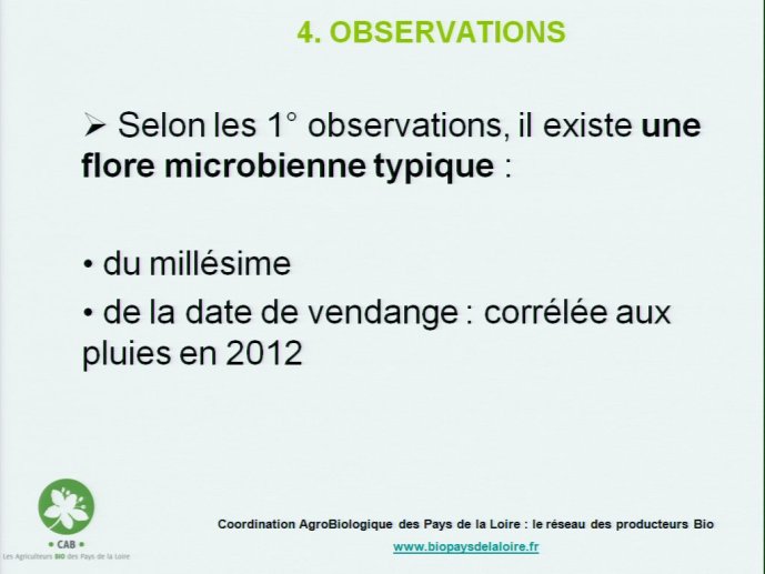 slide_0077_full.jpg