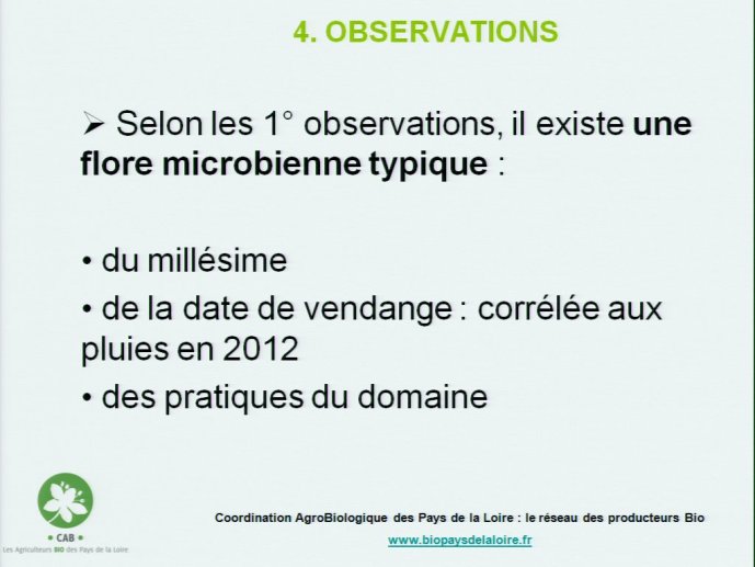 slide_0078_full.jpg