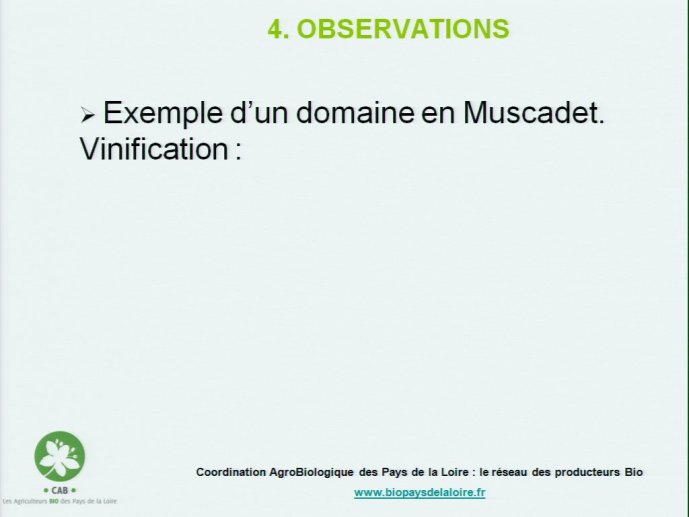 slide_0080_full.jpg
