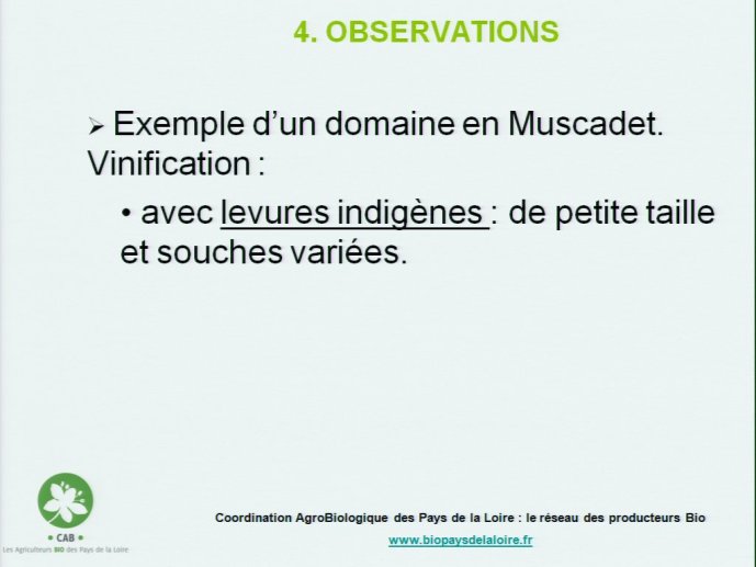 slide_0081_full.jpg