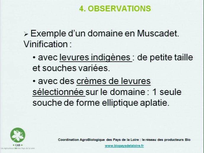 slide_0082_full.jpg