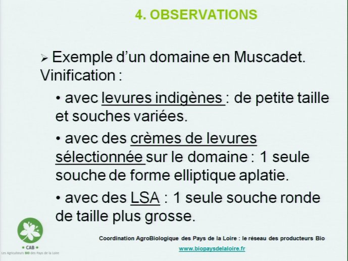 slide_0083_full.jpg