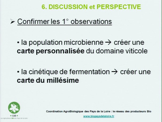 slide_0099_full.jpg