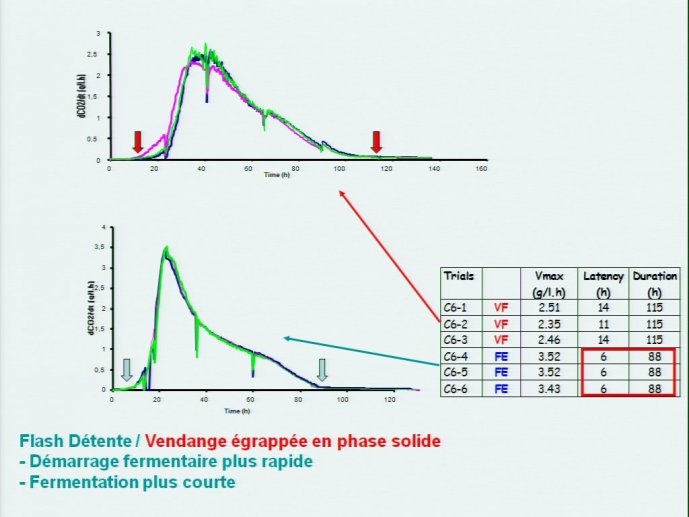 slide_0016_full.jpg