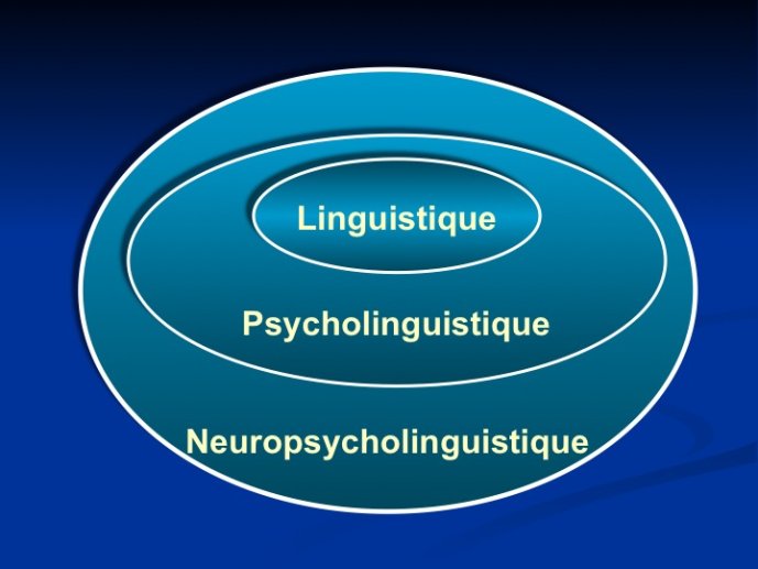 Nespolous-Aphasia2012-04.jpg