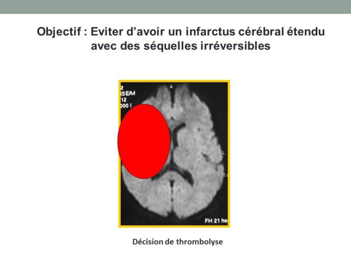 Diapositive7.JPG