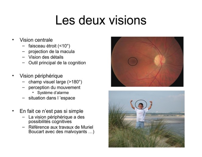 Les deux visions