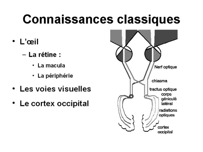 Connaissances classiques