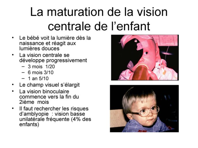 Maturation de la vision