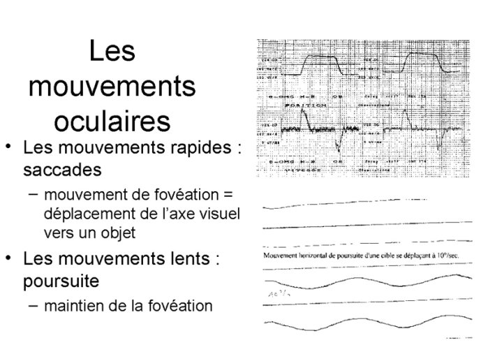 Mvts oculaires