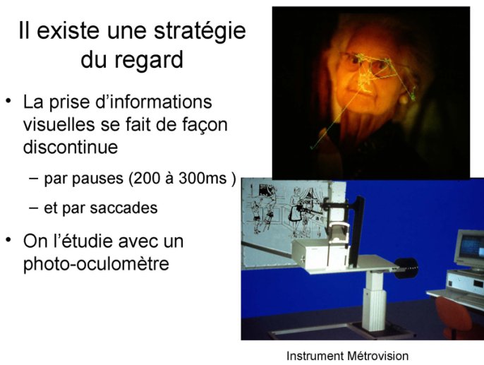 Stratégies du regard