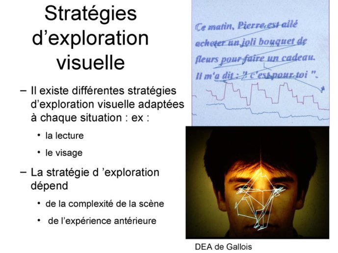 Stratégies exploration