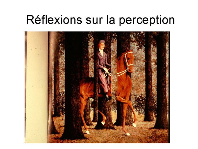 Reflexions sur perception