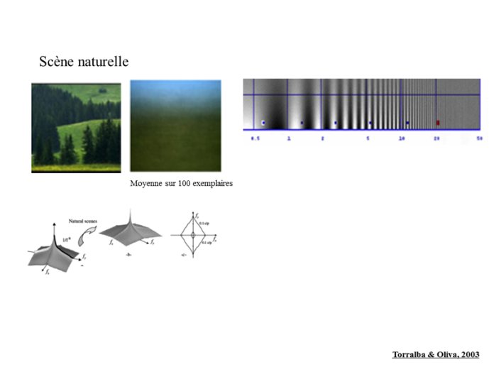 Distribution fréquences