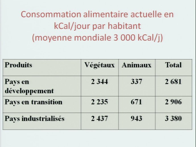slide_0053_full.jpg