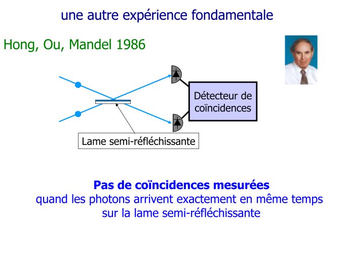 IUF-FABRE-37.jpg