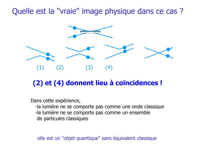 IUF-FABRE-39.jpg