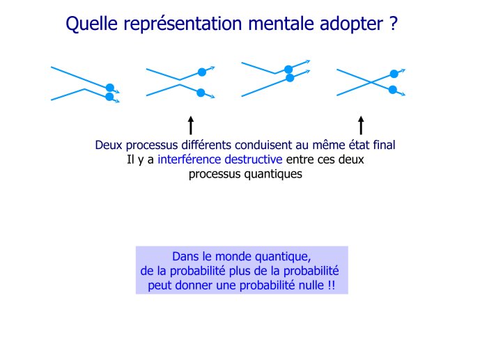 IUF-FABRE-40.jpg