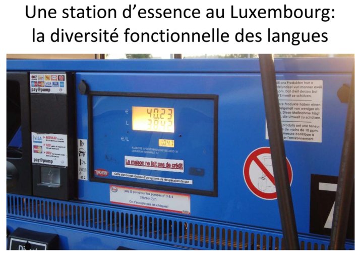 Diversité fonctionnelle des langues