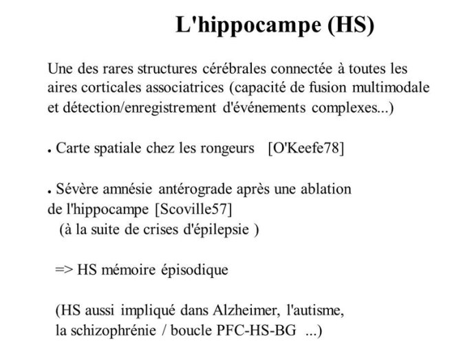 Hippocampe