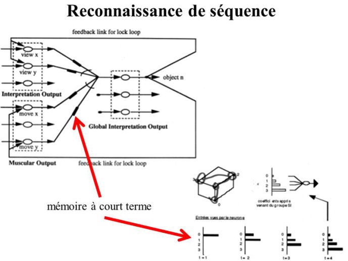 Reconnaissance