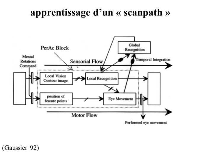 Scanpath