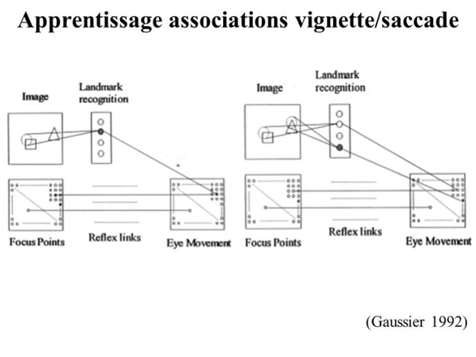 Vignette