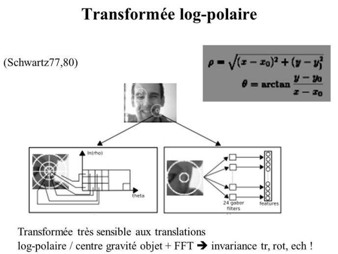 Transf log